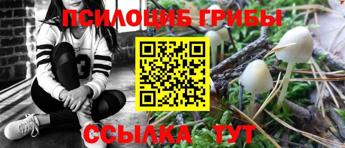 Карасук  Псилоцибиновые грибы мухоморы  Галлюциногенные грибы мухоморы  Вход с VPN 